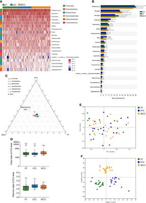 The Crosstalk Between Saliva Bacteria and Fungi in Early Childhood Caries